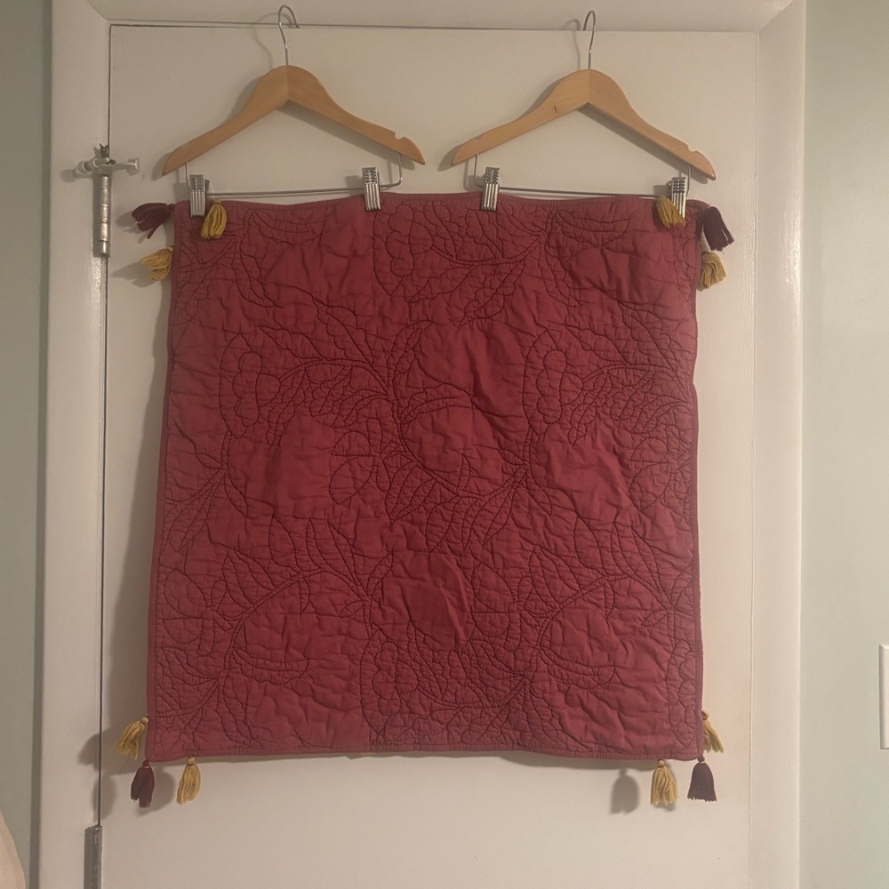 Anthropologie Euro Shams (2)